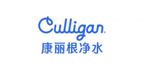高端市场地位认证：康丽根小黑龙销额TOP 1(图2)